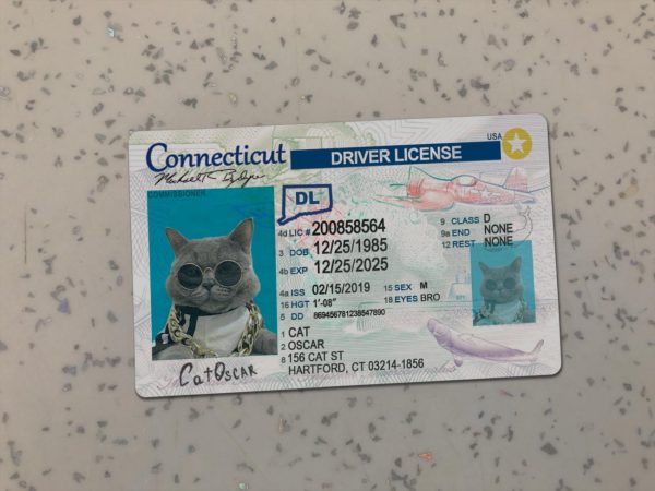 Connecticut Driver License Template