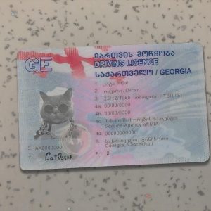 Country Georgia Driver License Template