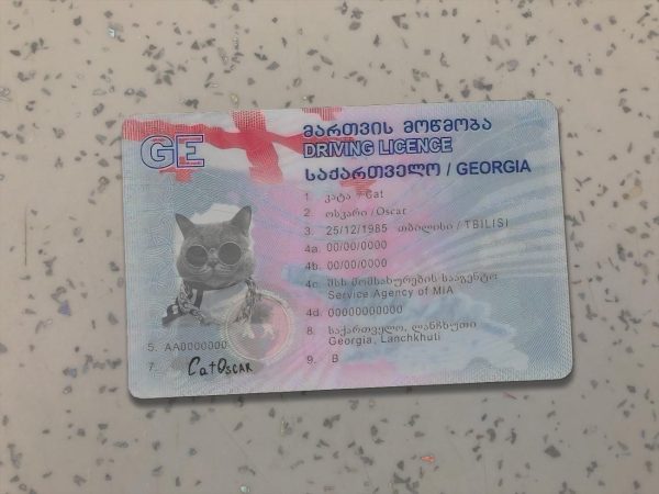 Country Georgia Driver License Template