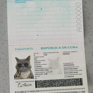 Cuba Passport Template