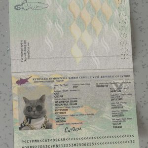 Cyprus Passport Template