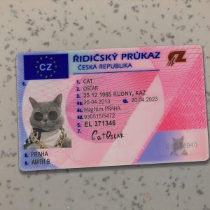 Czech Driver License Template