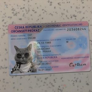 Czech Identity Card Template
