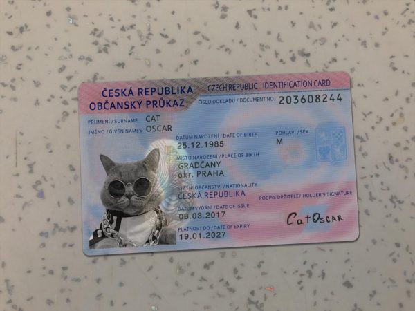 Czech Identity Card Template