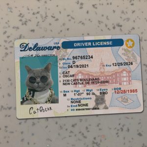 Delaware Driver License Template