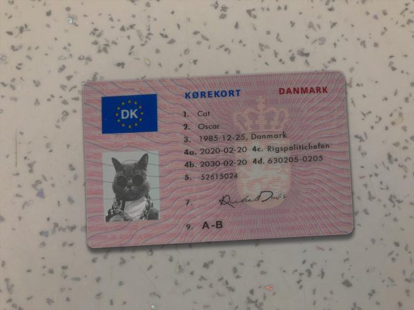 Denmark Driver License Template
