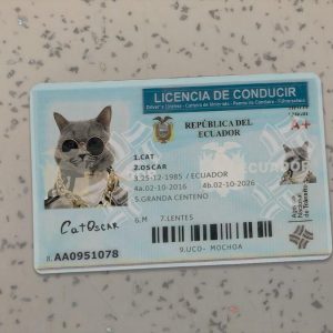 Ecuador Driver License Template