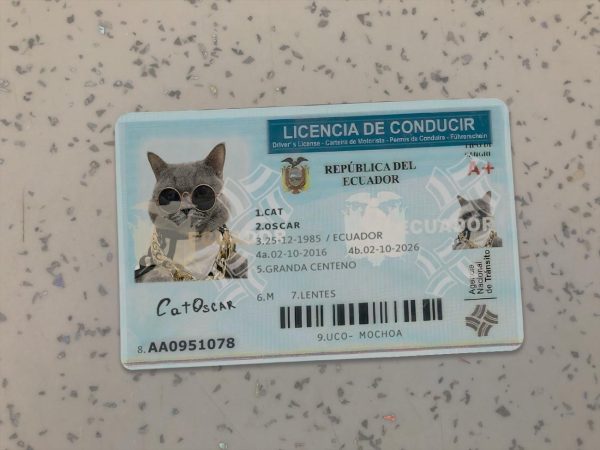 Ecuador Driver License Template