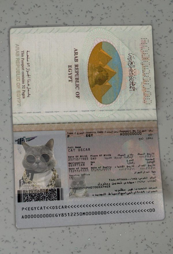 Egypt Passport Template