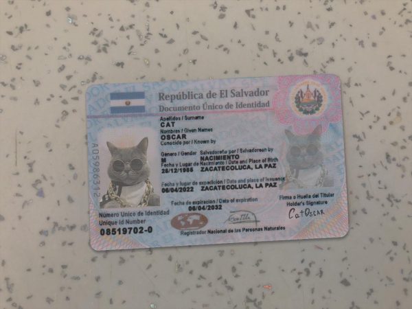 El Salvador Identity Card Template