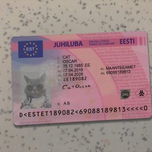 Estonia Driver License Template