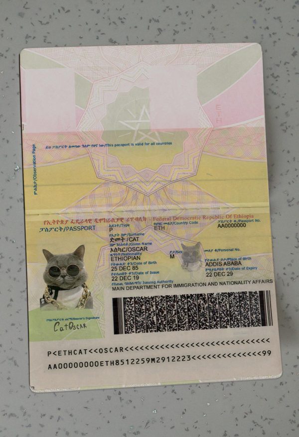 Ethiopia Passport Template