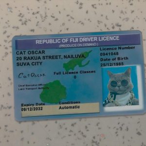 Fiji Driver License Template