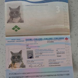 Finland Passport Template