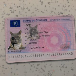 France Driver License Template