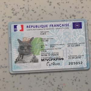 France Identity Card Template
