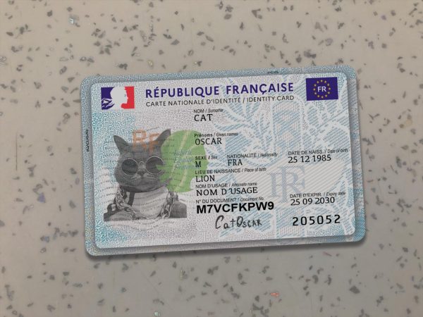 France Identity Card Template