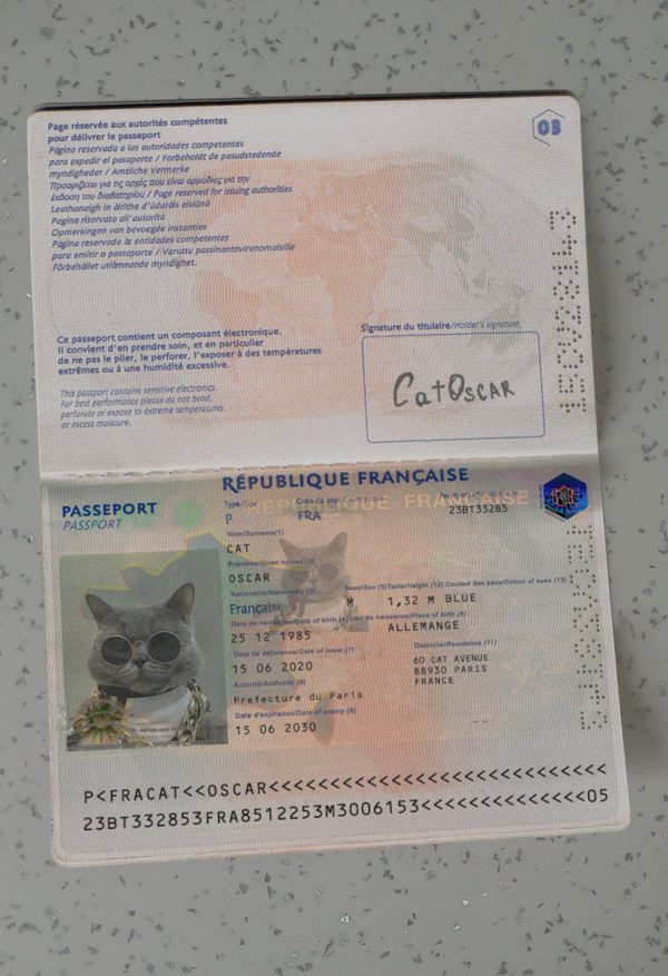 France Passport Template