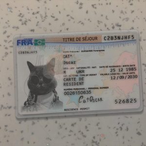 France Permanent Residence Card Template