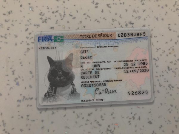 France Permanent Residence Card Template