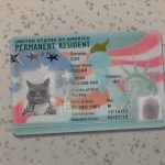 Green card USA Template