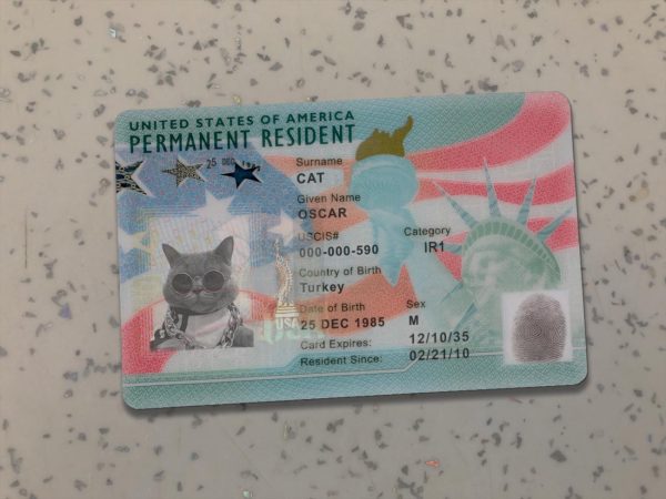 Green card USA Template