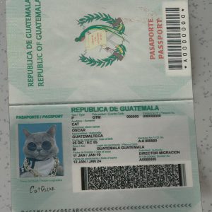 Guatemala Passport Template