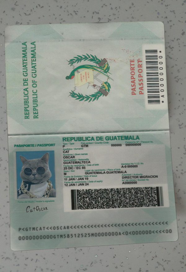 Guatemala Passport Template