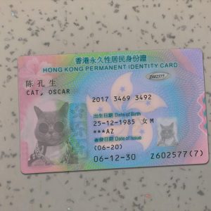 Hong Kong Identity Card Template