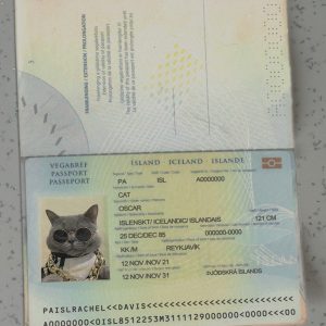 Iceland Passport Template
