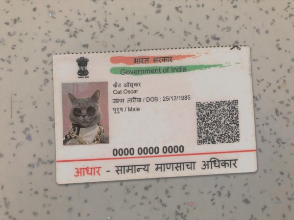 India Identity Card Template