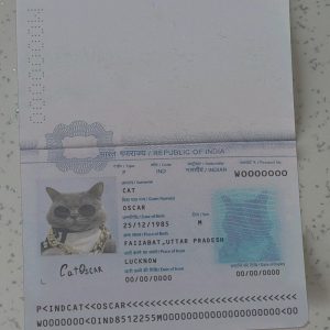 India Passport Template