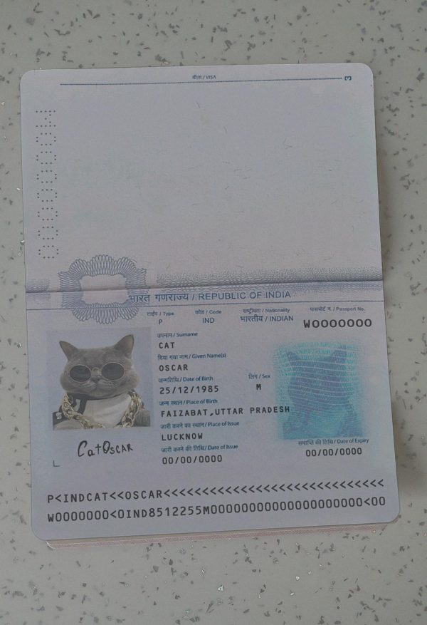 India Passport Template