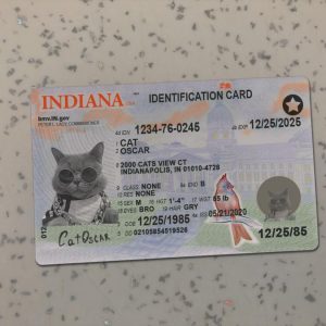 Indiana Id card Template