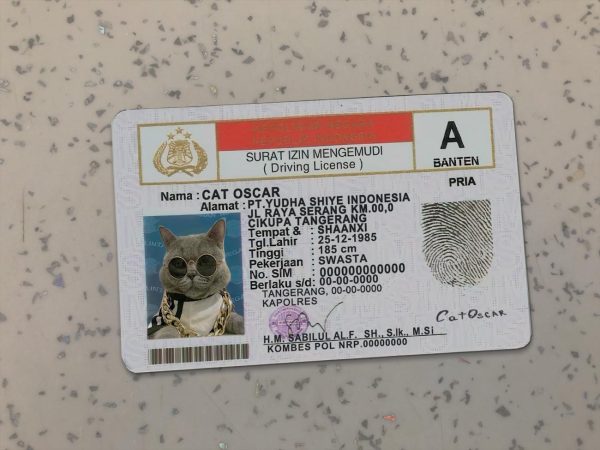 Indonesia Driver License Template