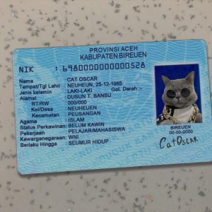 Indonesia Identity Card Template