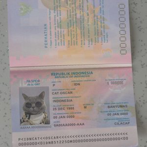 Indonesia Passport Template