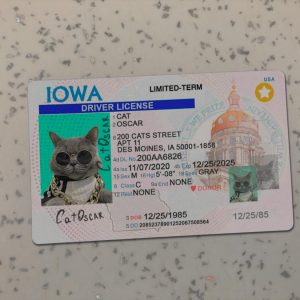 Iowa Driver License Template