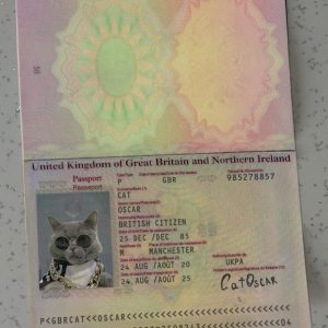 Ireland Passport Template
