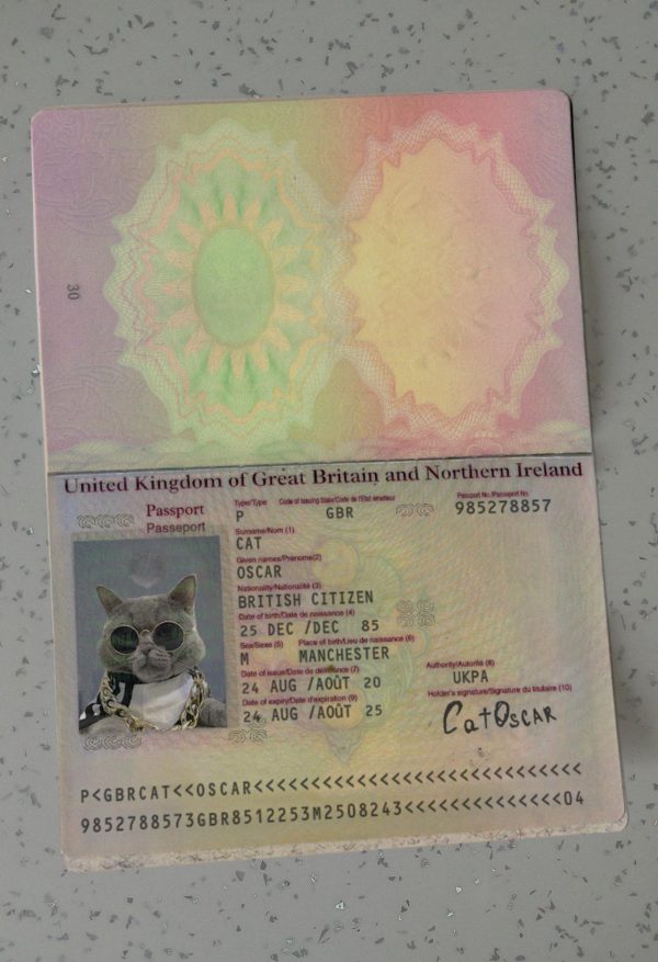 Ireland Passport Template