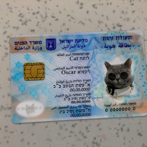 Israel Identity Card Template