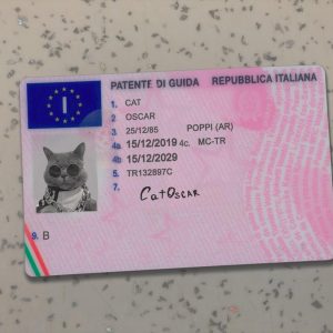 Italy Driver License Template