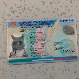 Italy Identity Card Template