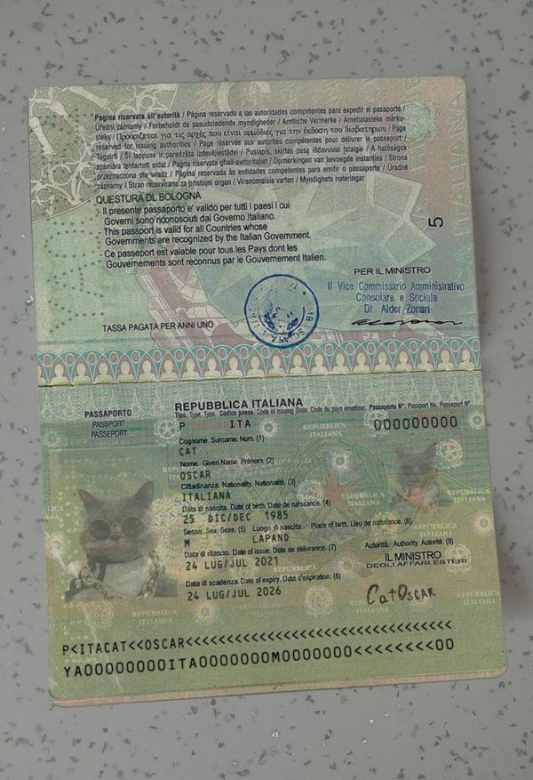 Italy Passport Template