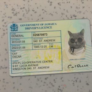 Jamaica Driver License Template