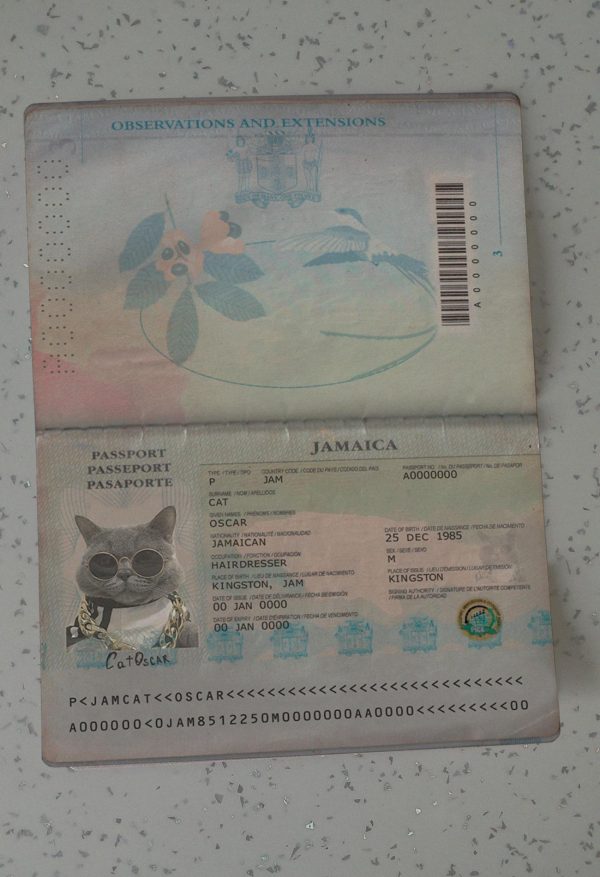 Jamaica Passport Template