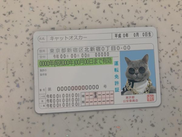 Japan Driver License Template