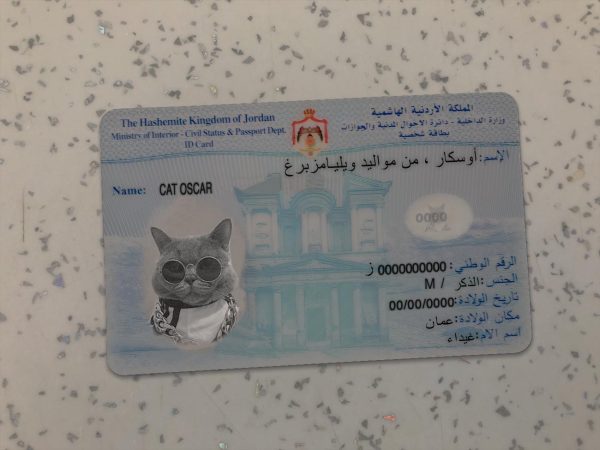 Jordan Identity Card Template