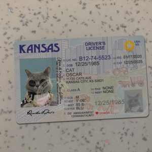 Kansas Driver License Template