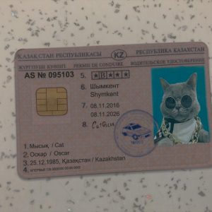 Kazakhstan Driver License Template